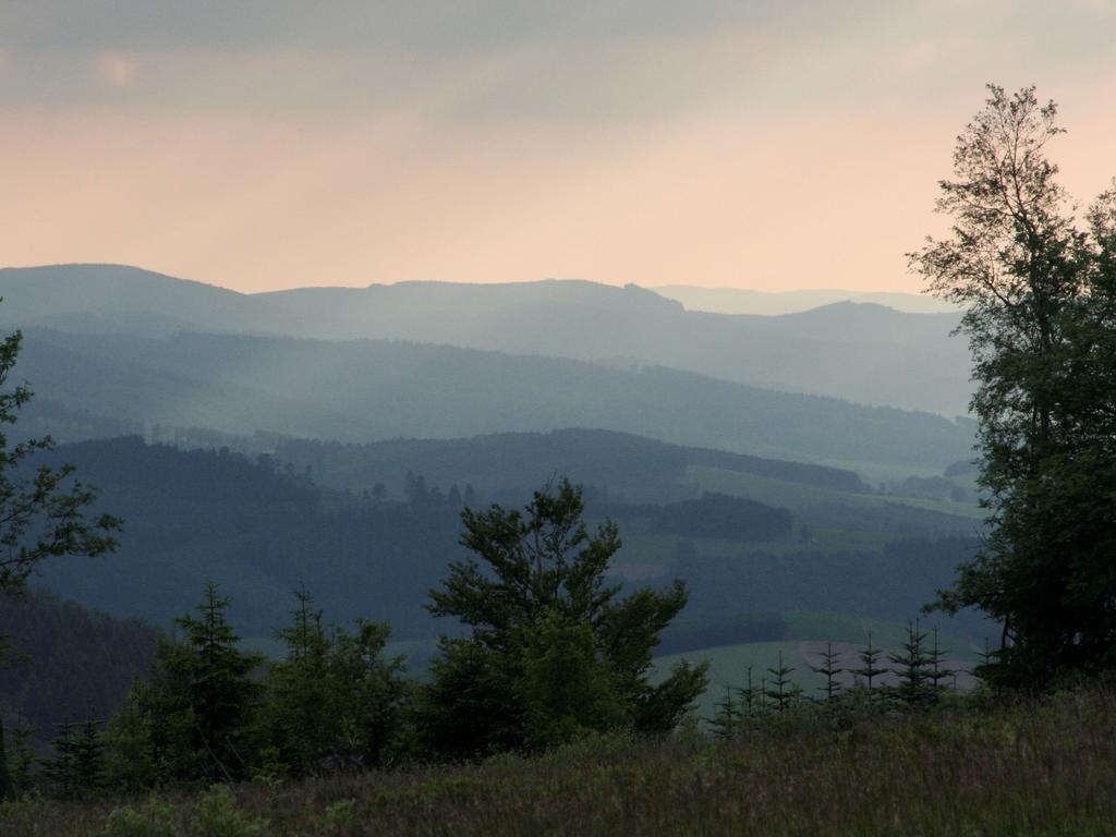 Ferienwohnung Hartmann Winterberg Exteriör bild